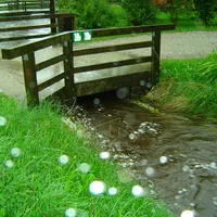 hochwasser_juni_2010_009.jpg