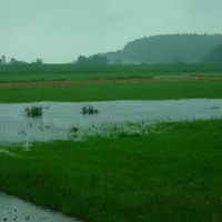 hochwasser_juni_2010_010.jpg